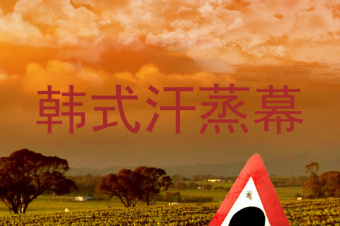 韩式汗蒸幕