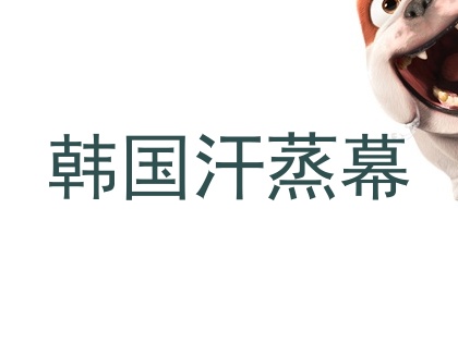 韩国汗蒸幕