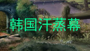 韩国汗蒸幕