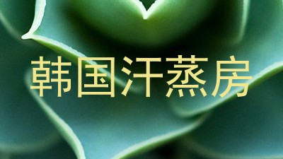 韩国汗蒸房