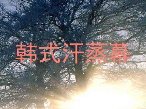 韩式汗蒸幕