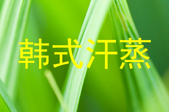 韩式汗蒸