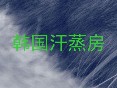 韩国汗蒸房
