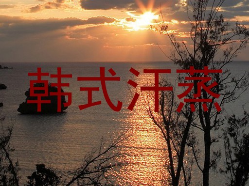 韩式汗蒸