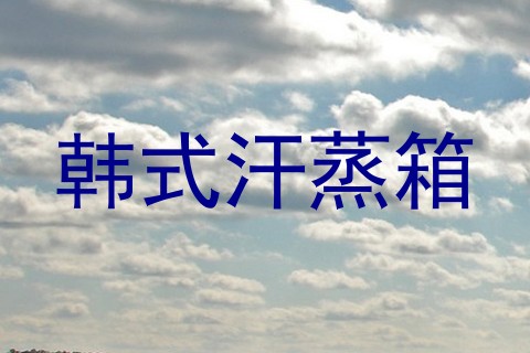 韩式汗蒸箱