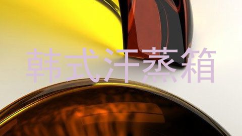 韩式汗蒸箱
