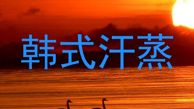 韩式汗蒸