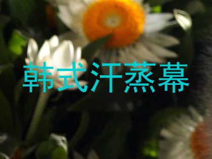 韩式汗蒸幕