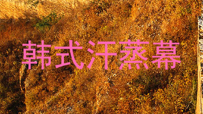 韩式汗蒸幕