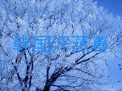 韩国汗蒸幕