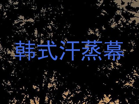 韩式汗蒸幕