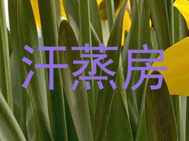 汗蒸房
