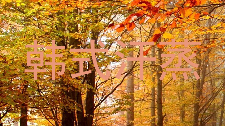 韩式汗蒸