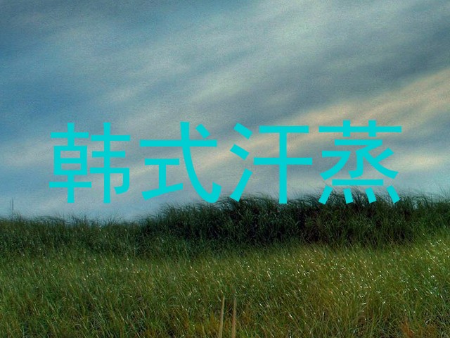 韩式汗蒸