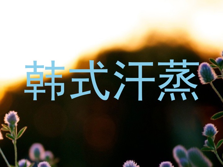韩式汗蒸
