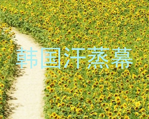 韩国汗蒸幕