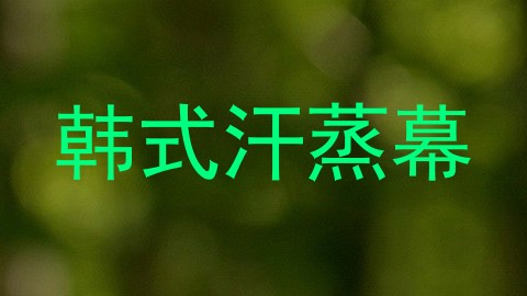 韩式汗蒸幕