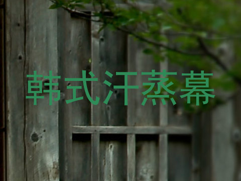 韩式汗蒸幕