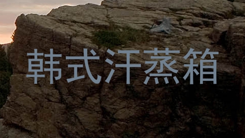 韩式汗蒸箱