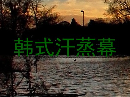 韩式汗蒸幕