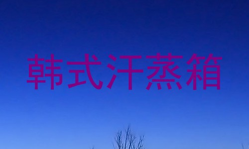 韩式汗蒸箱