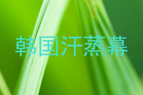 韩国汗蒸幕