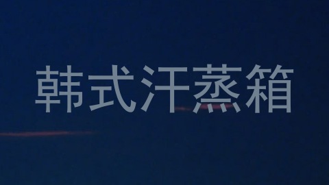 韩式汗蒸箱
