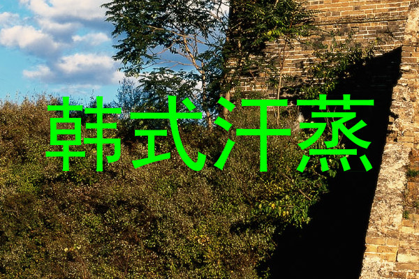 韩式汗蒸