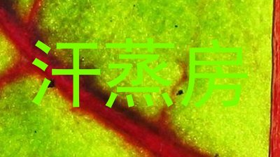汗蒸房