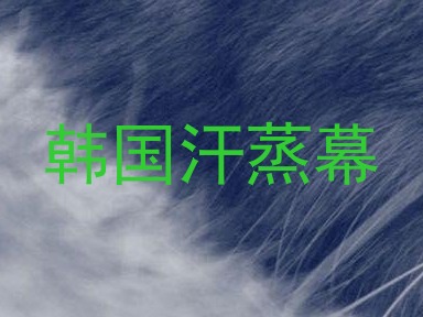 韩国汗蒸幕