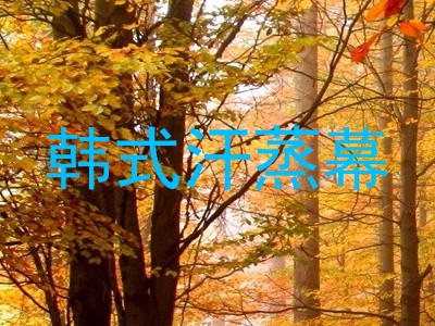 韩式汗蒸幕