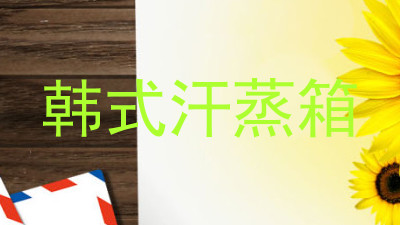 韩式汗蒸箱