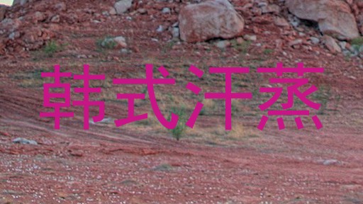 韩式汗蒸