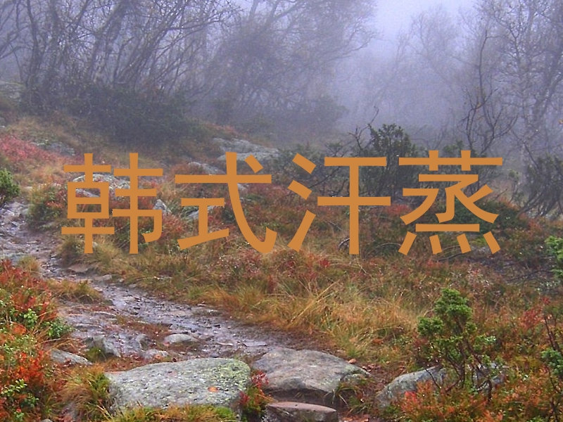 韩式汗蒸