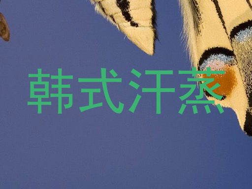 韩式汗蒸