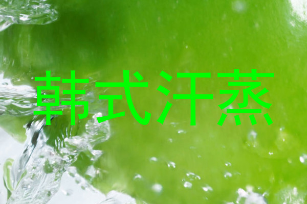 韩式汗蒸