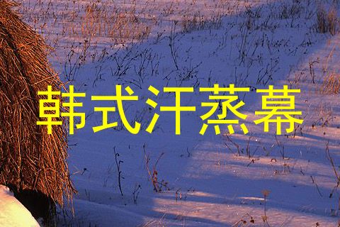 韩式汗蒸幕