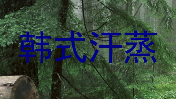 韩式汗蒸