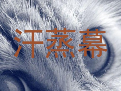 汗蒸幕