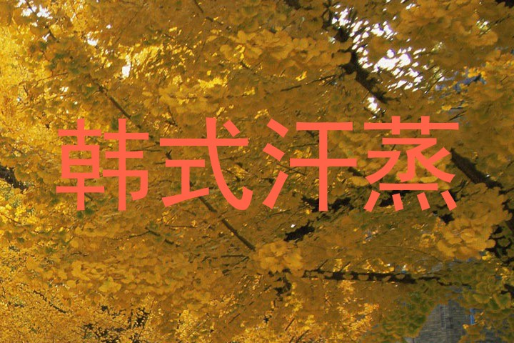 韩式汗蒸