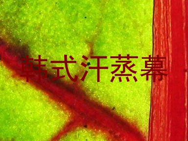 韩式汗蒸幕
