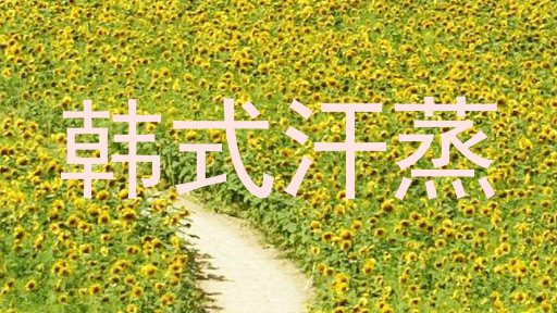 韩式汗蒸