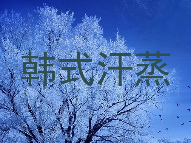 韩式汗蒸