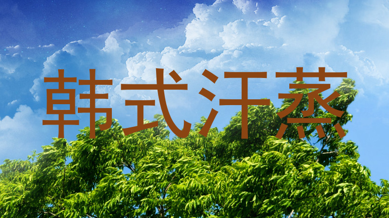 韩式汗蒸