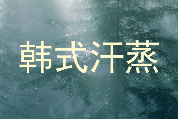 韩式汗蒸