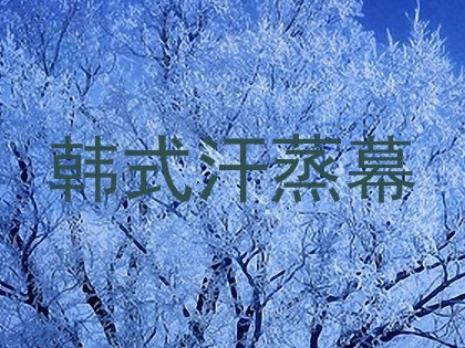 韩式汗蒸幕