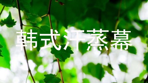 韩式汗蒸幕