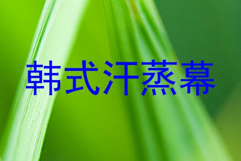 韩式汗蒸幕