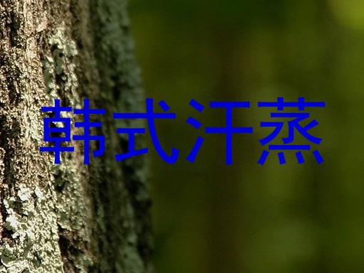 韩式汗蒸