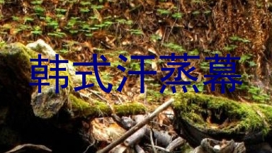 韩式汗蒸幕